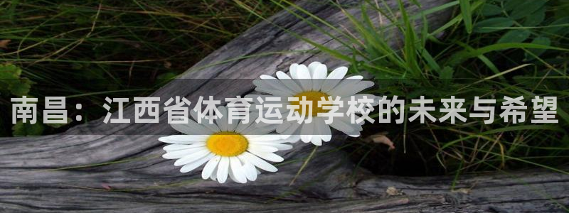 欧亿体育官方正版app集团logo:南昌:江西省体育运动学校