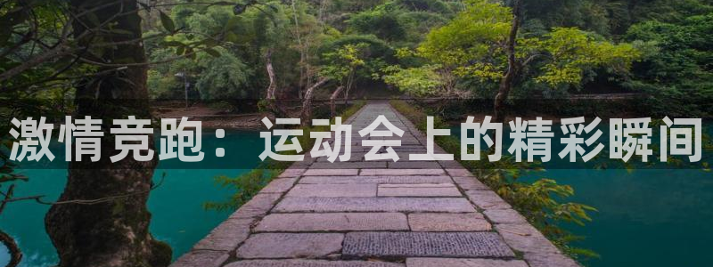 oety欧亿体育官网下载招商电话是多少:激情竞跑:运动会上的