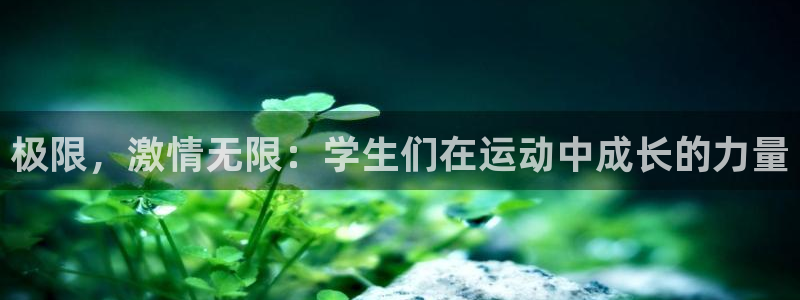 oety欧亿体育官网下载平台假的吗是真的吗吗:极限,激情无限